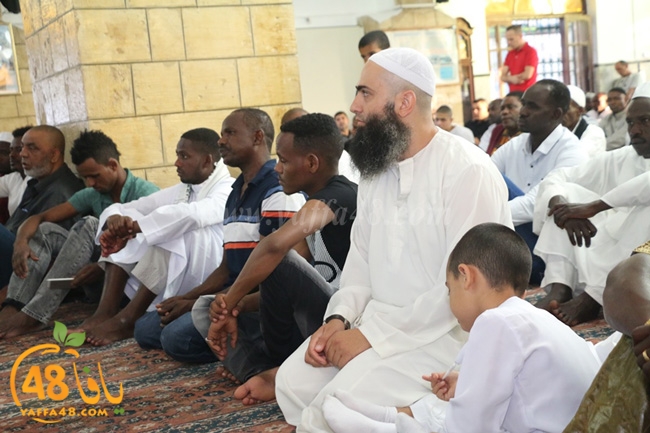 7san bek salahai (60).JPG